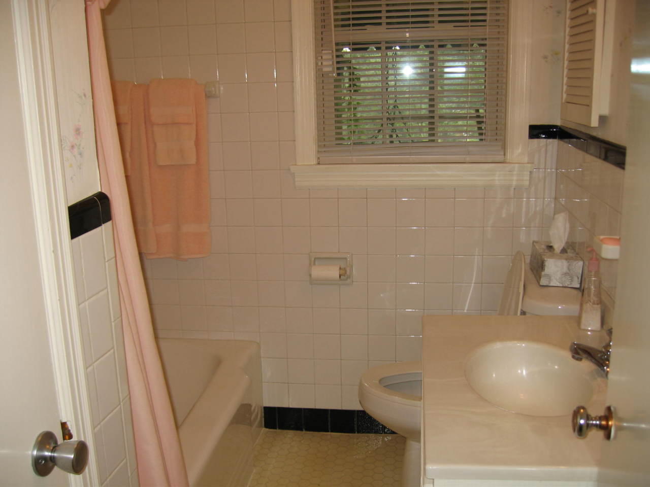 3528 Grandin Road Southwest Roanoke, VA 24018 - Photo 10 of 22 Bathroom
