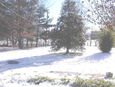 4031 Royster Road Lexington, KY 40516 - Photo 3 of 7 Photo 3