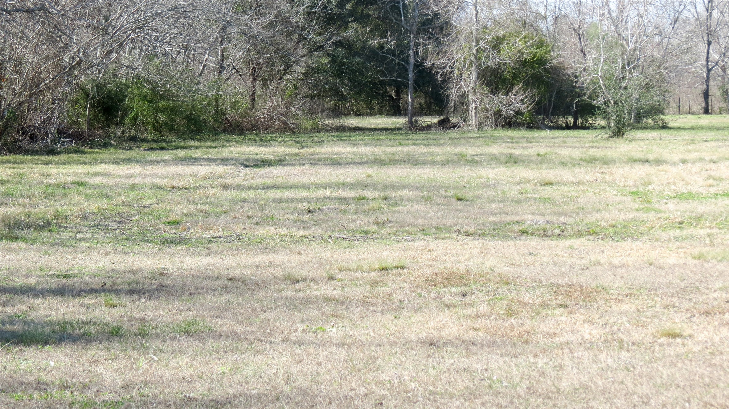 4936 Birch Road Santa Fe, TX 77517 - Photo 1 of 9