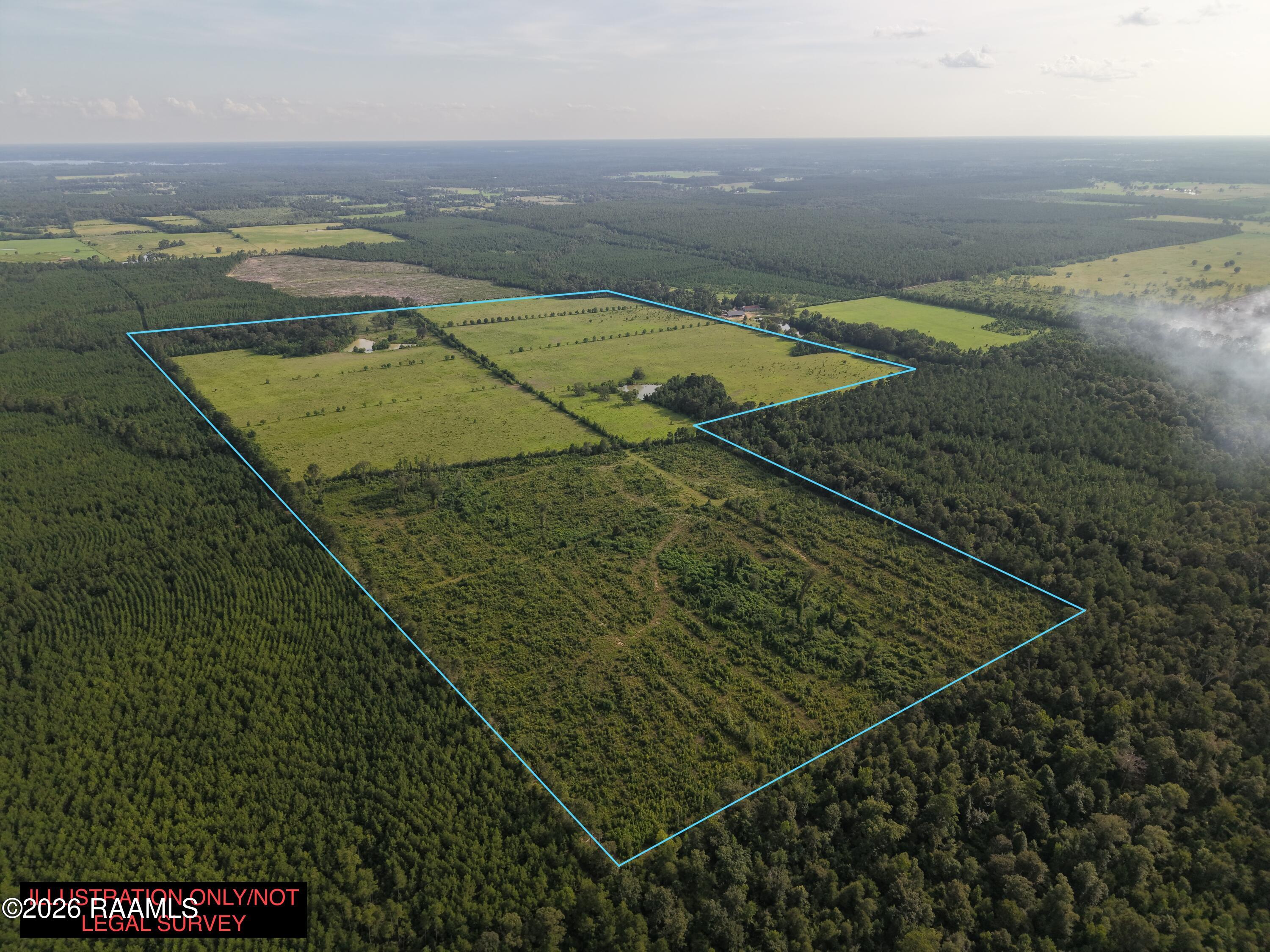 0 Rutherford Road Deridder, LA 70634 - Photo 4 of 25 Aerial 4