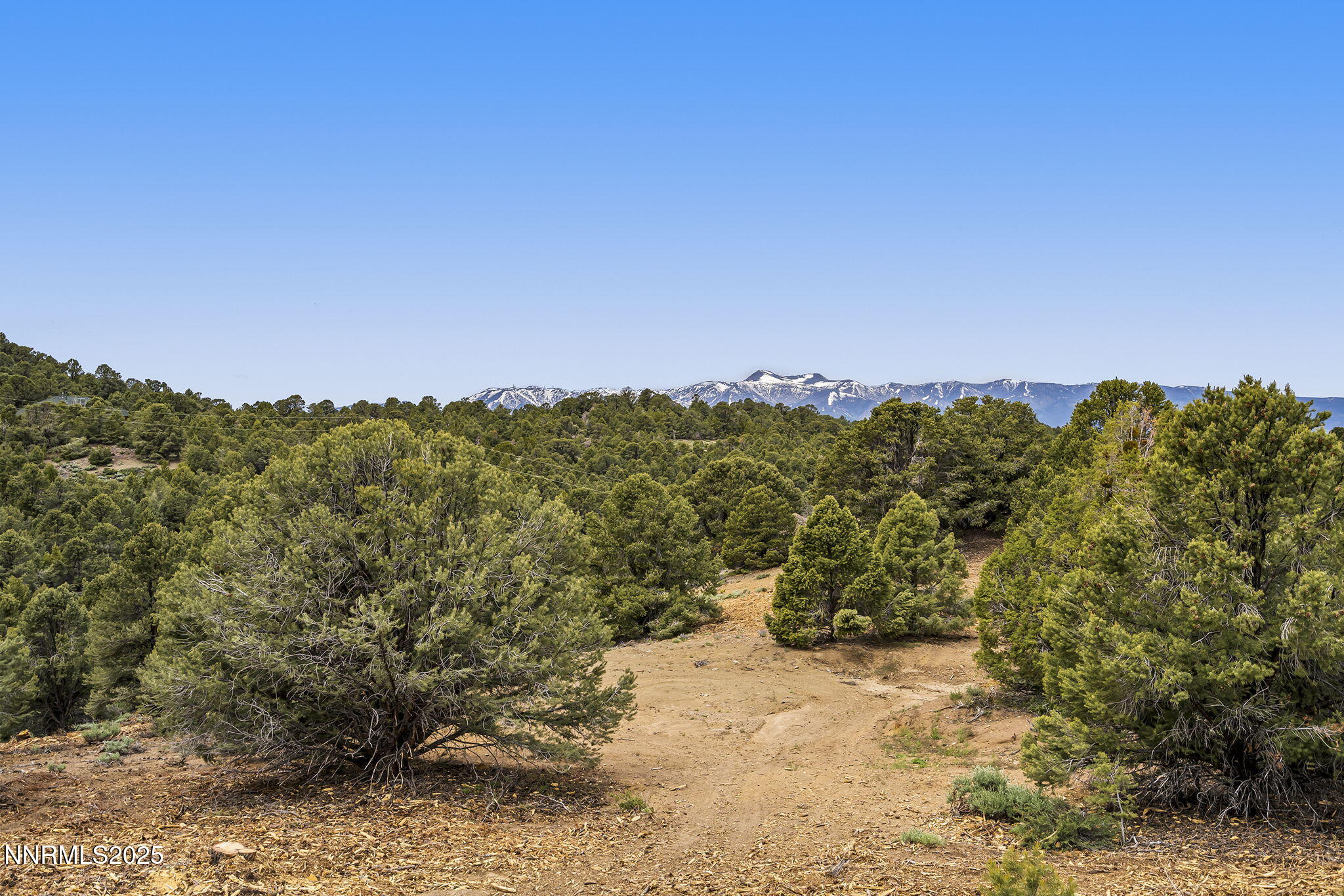 4970 Dry Gulch Road Reno, NV 89521 - Photo 37 of 44 42-web-or-mls-_DSC0103