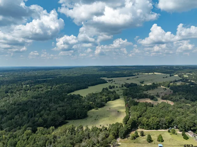 an aerial view of houses covered in trees