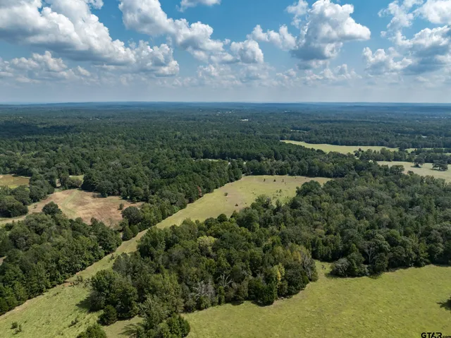 a view of a dry yard