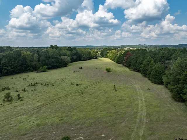 a view of a swimming pool with a yard