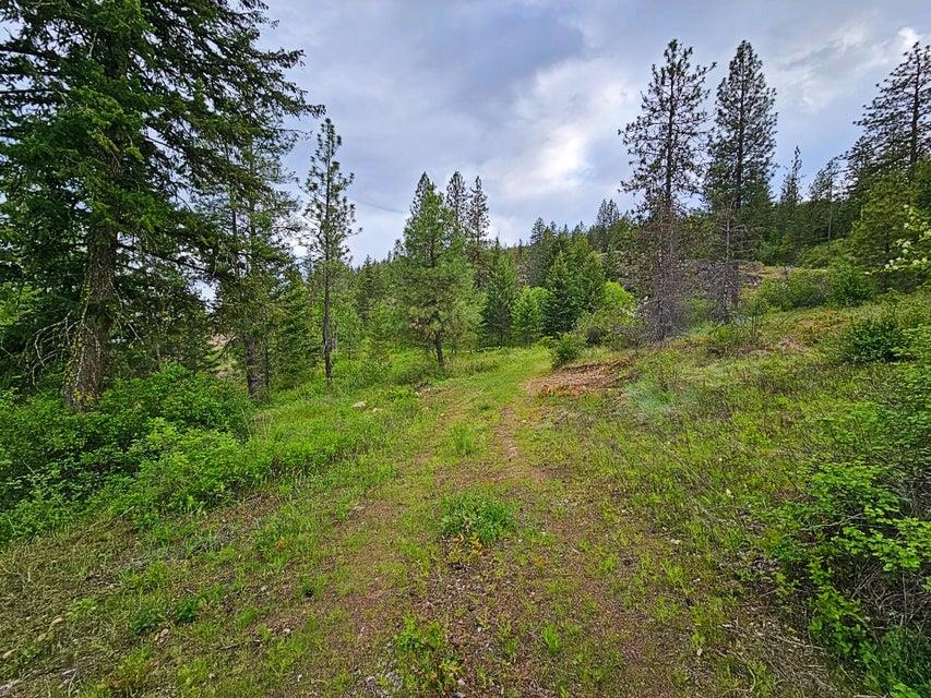 842 Valley-Westside Road Colville, WA 99114 - Photo 5 of 21