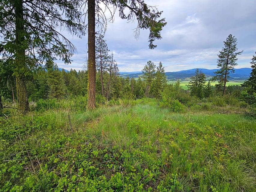 842 Valley-Westside Road Colville, WA 99114 - Photo 8 of 21