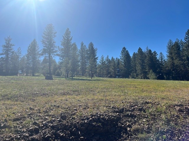 B11-l9 Hot Springs Road, Unit 9 New Meadows, ID 83654 - Photo 4 of 20