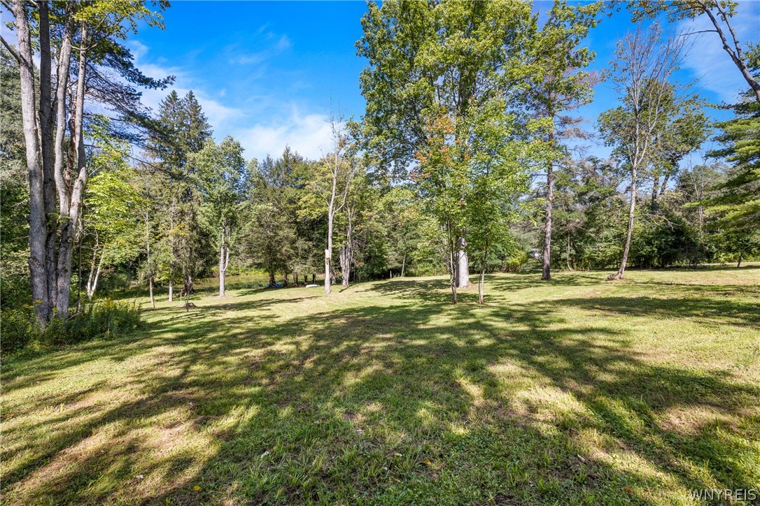 7781 North Branch Road Friendship, NY 14739 - Photo 25 of 50 Gallery Image 25