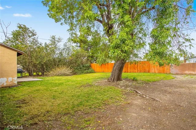 a view of yard with tree