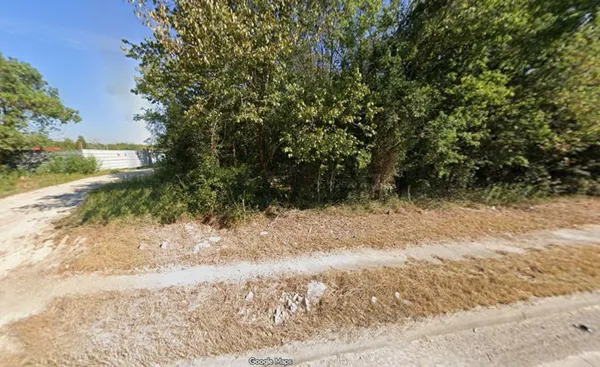 a view of a yard with plants and trees