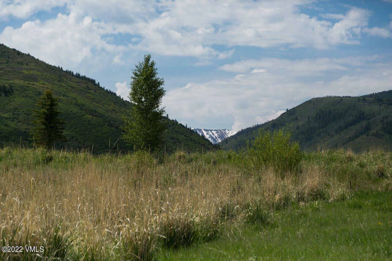 412 Red Bluffs Lane Eagle, CO 81631 - Photo 14 of 15 86 homesites-2017-South