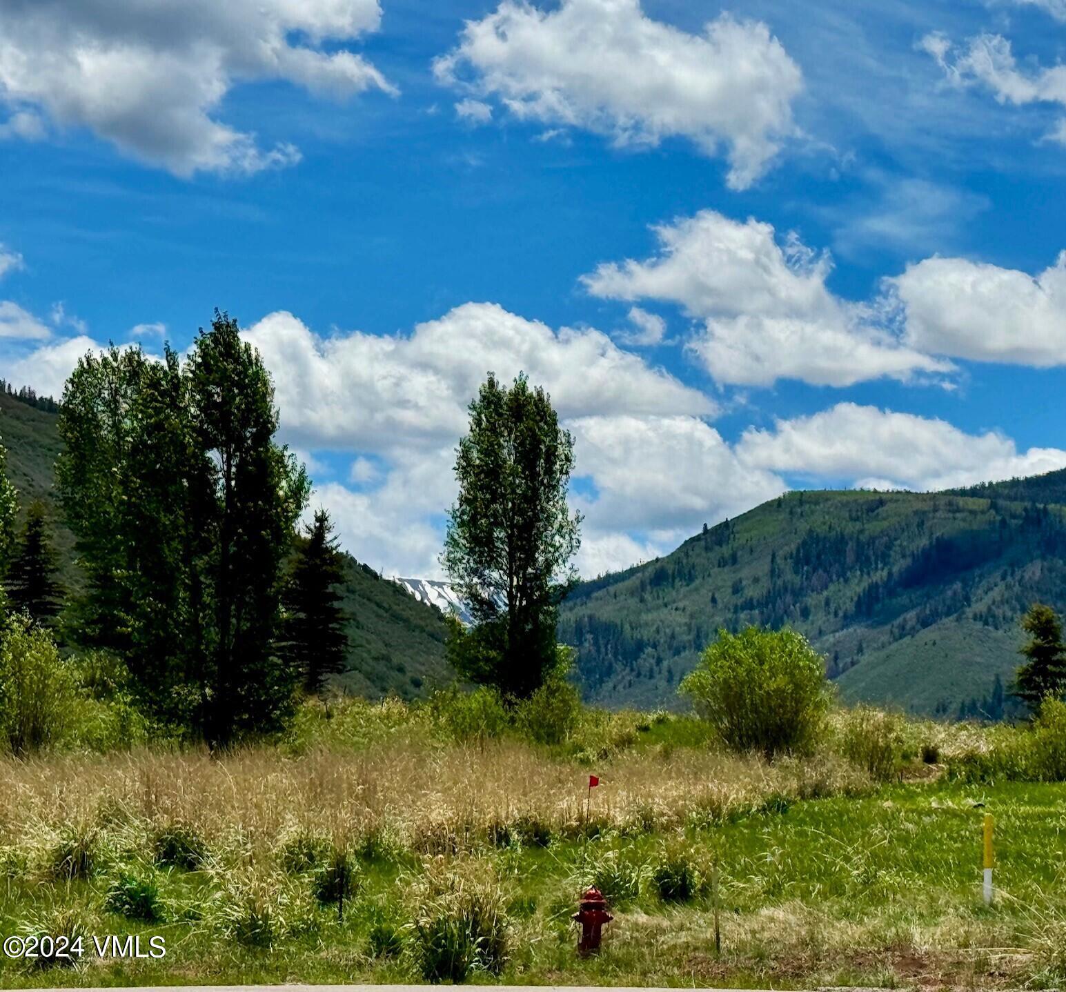 412 Red Bluffs Lane Eagle, CO 81631 - Photo 3 of 15 Lot 86 new 9