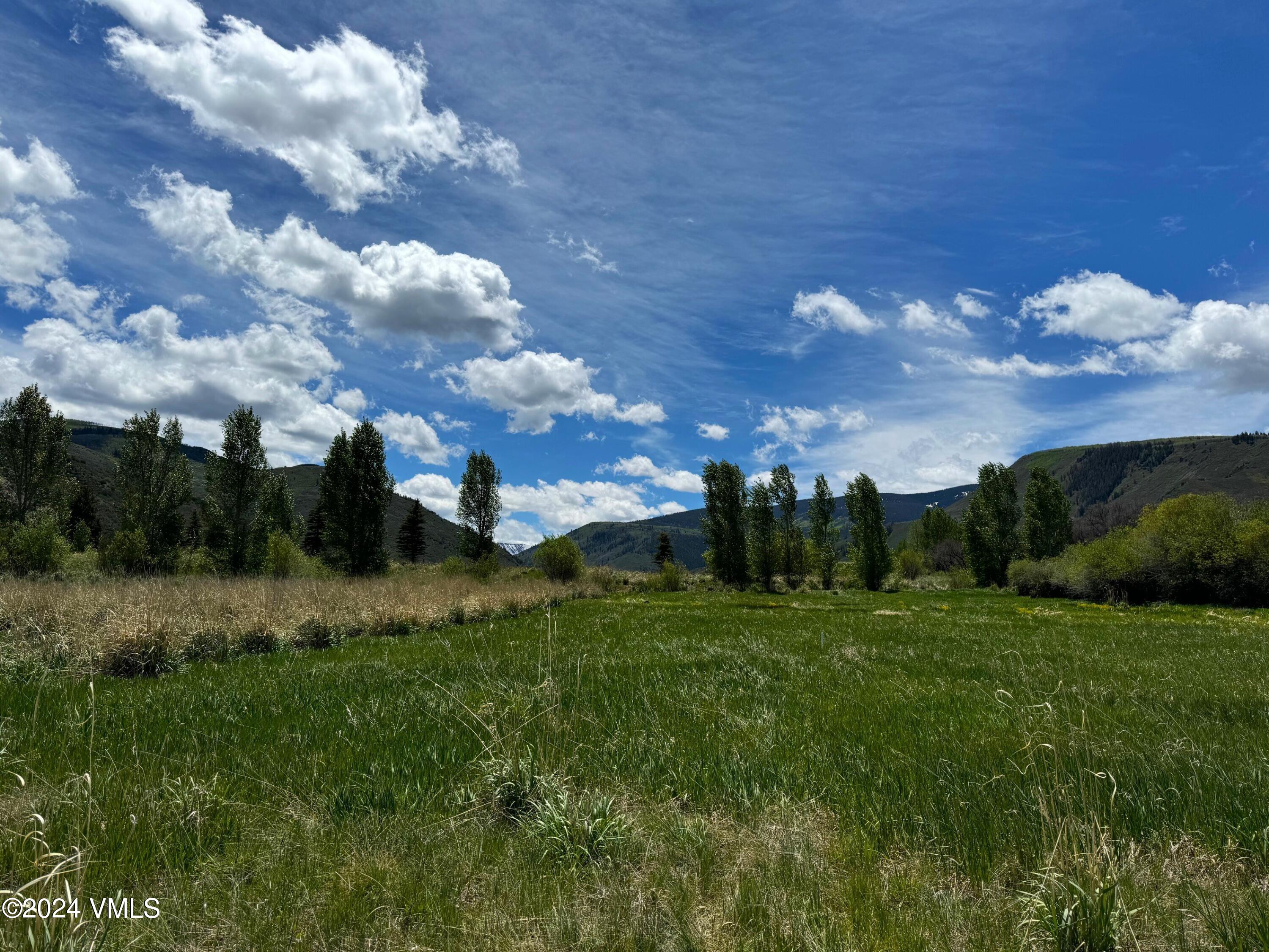 412 Red Bluffs Lane Eagle, CO 81631 - Photo 4 of 15 Lot 86 New 5