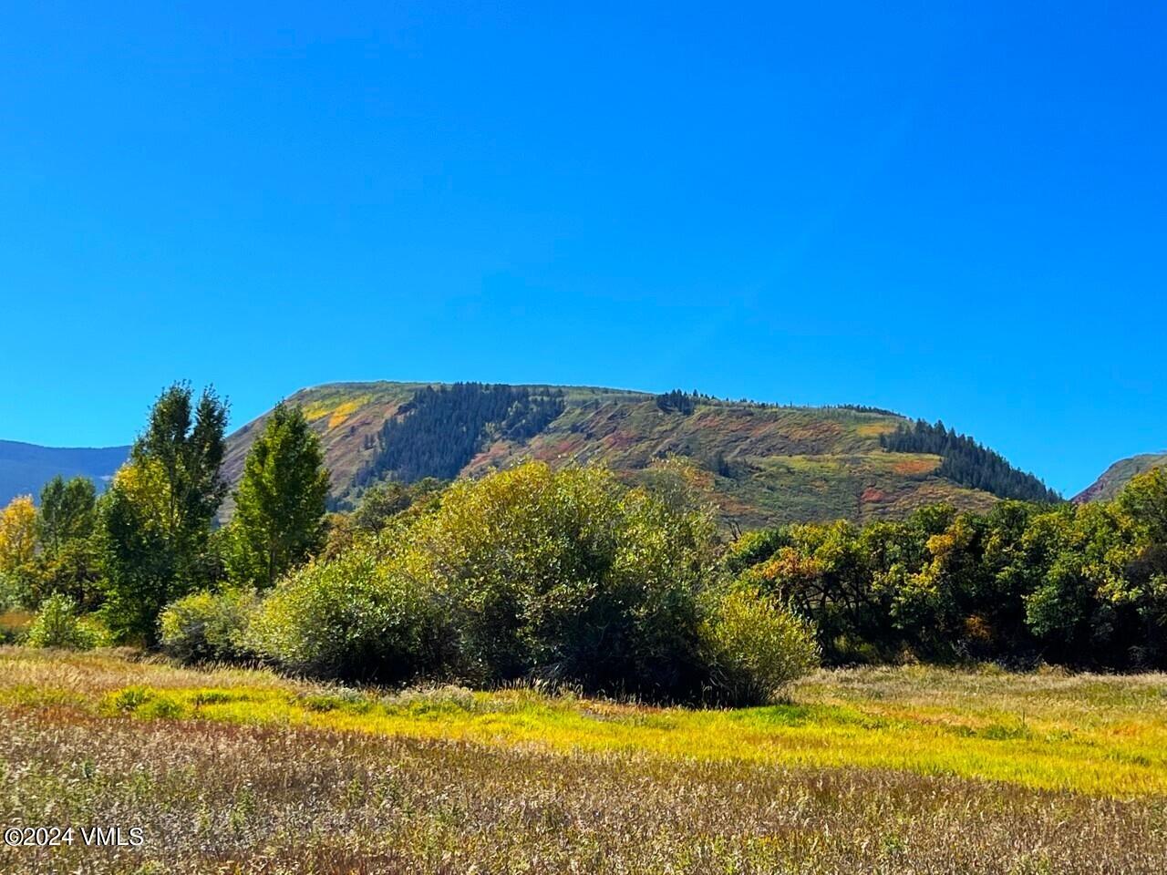 412 Red Bluffs Lane Eagle, CO 81631 - Photo 8 of 15 Lot 86 - 4 photo