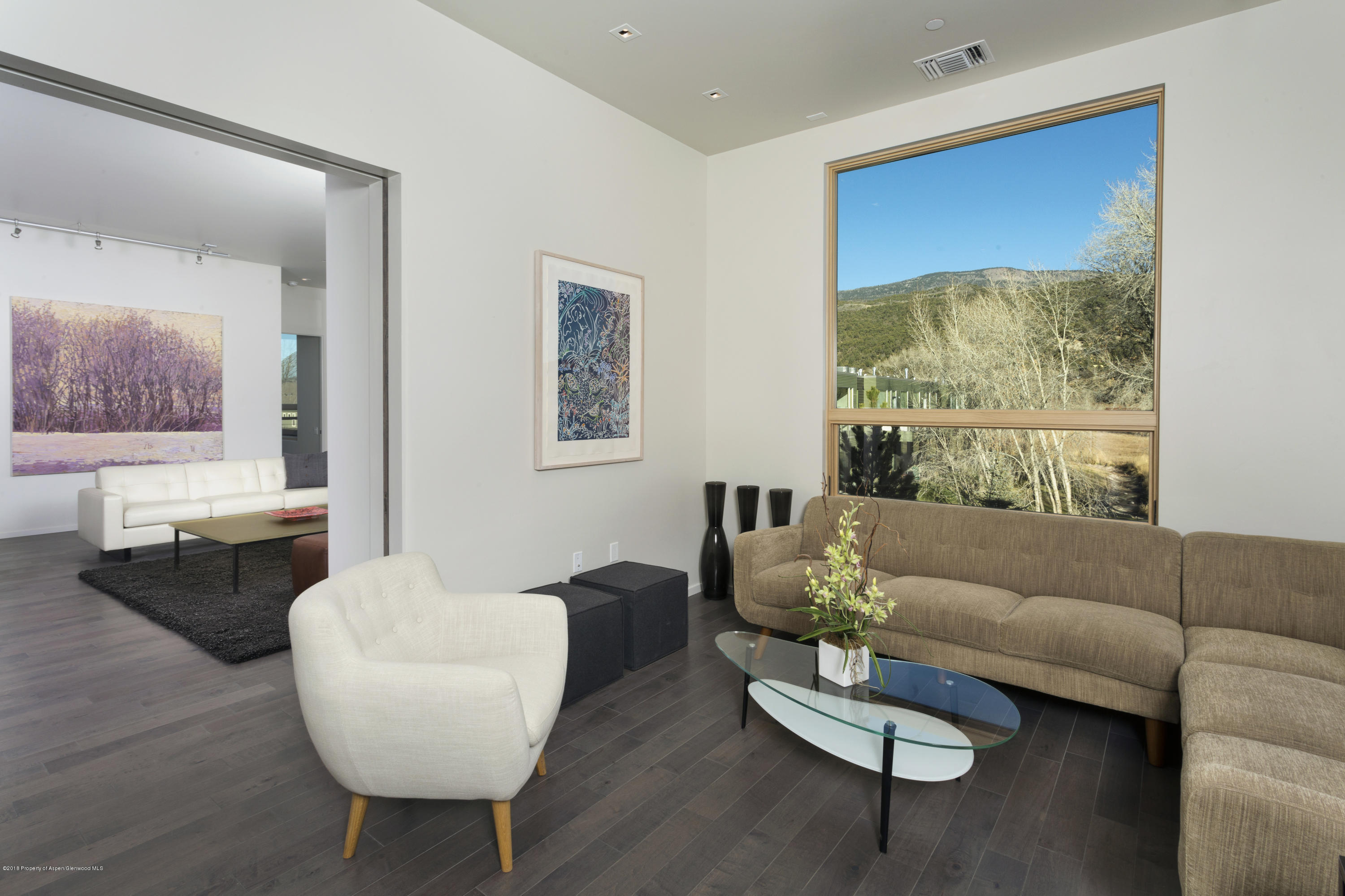 102 Evans Road, Unit 207 Basalt, CO 81621 - Photo 19 of 62 ParkModern204_HIRES-9