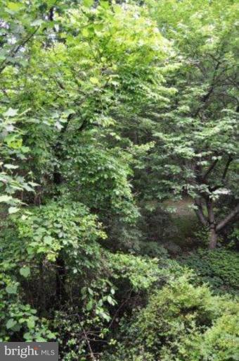 1606 Wainwright Drive Reston, VA 20190 - Photo 15 of 15 View from Unit