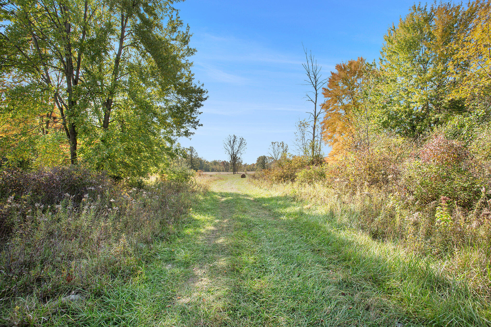 6097 Otto Road Charlotte, MI 48813 - Photo 61 of 89 060_8l9a8912