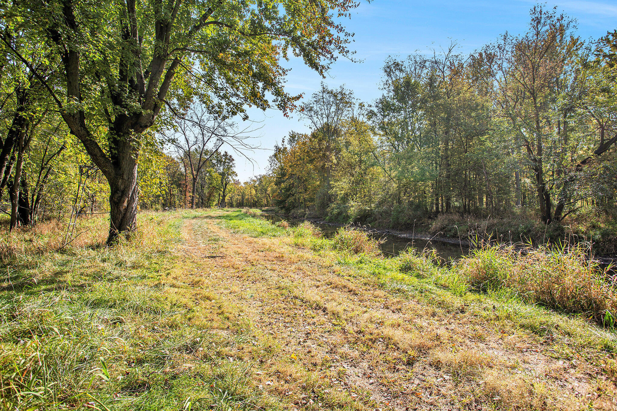 6097 Otto Road Charlotte, MI 48813 - Photo 64 of 89 063_8l9a8924