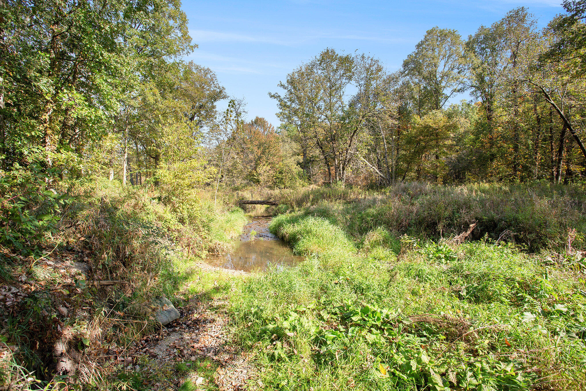 6097 Otto Road Charlotte, MI 48813 - Photo 67 of 89 066_8l9a8903