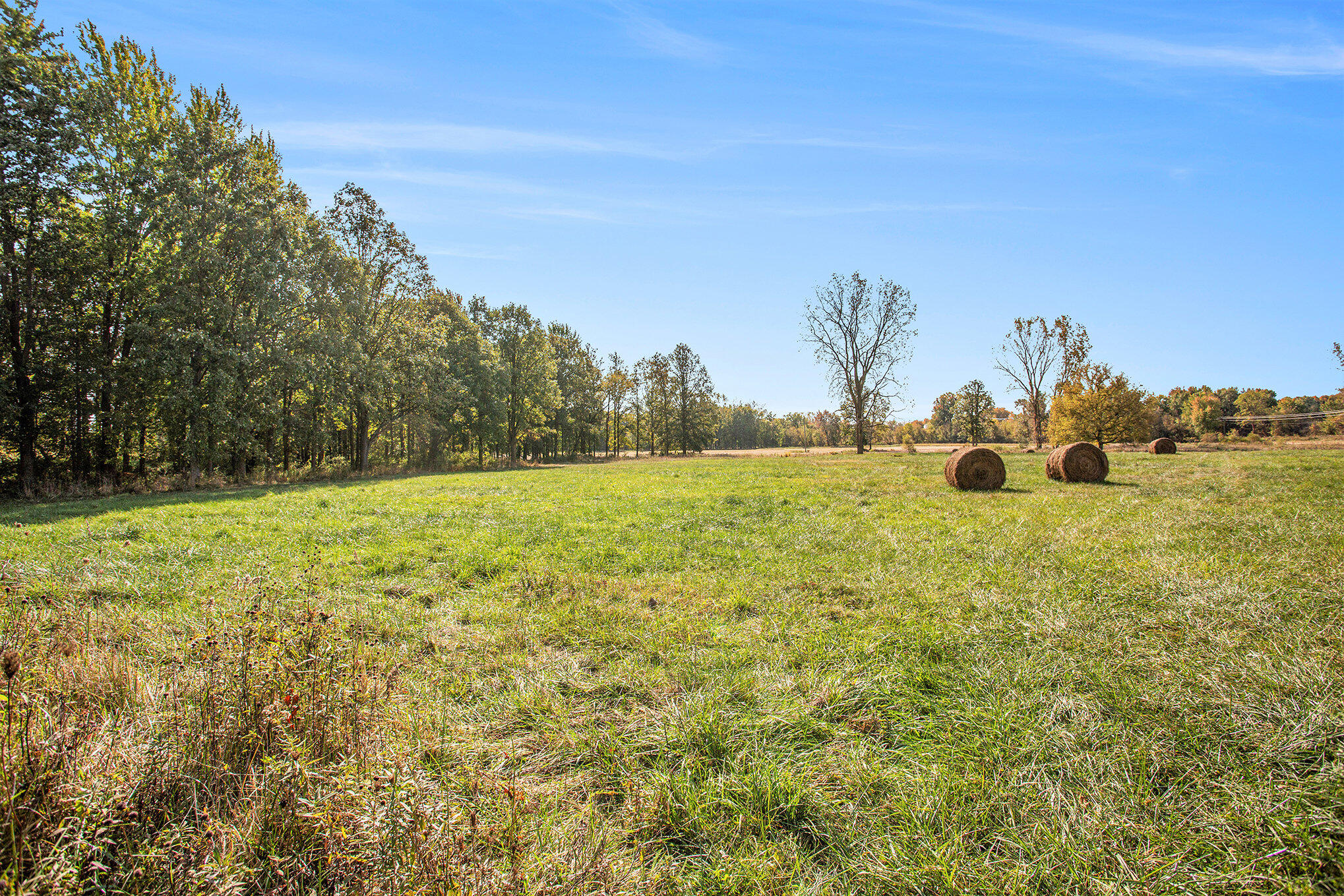 6097 Otto Road Charlotte, MI 48813 - Photo 68 of 89 067_8l9a8915
