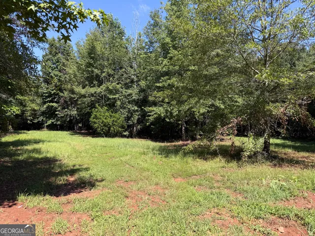 a view of a yard with an outdoor space