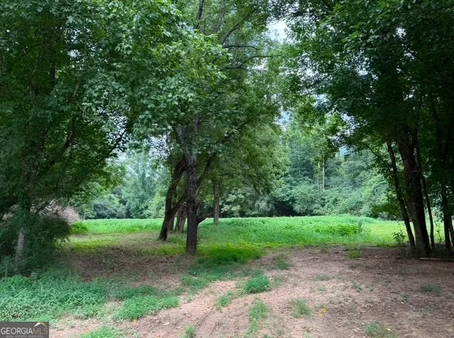 a view of field with tall trees