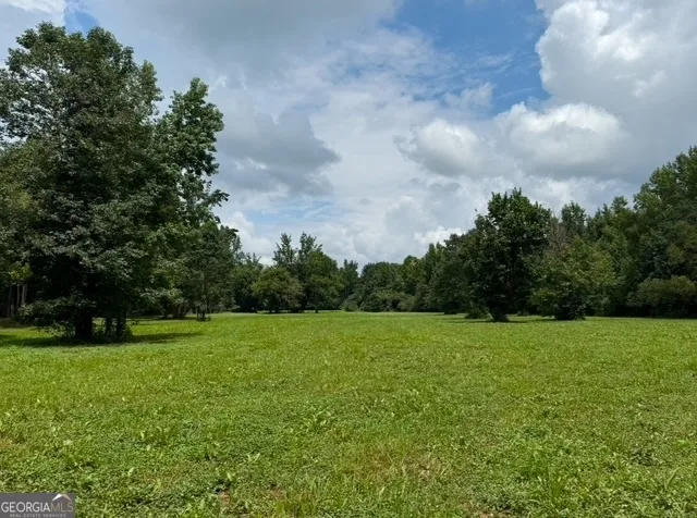 a view of field with trees in the background