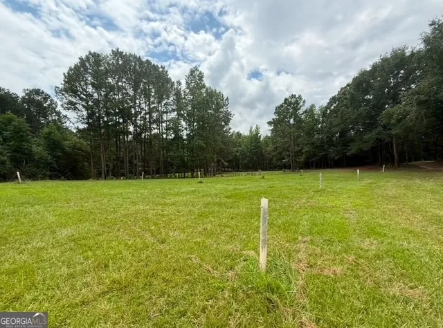 a view of green field