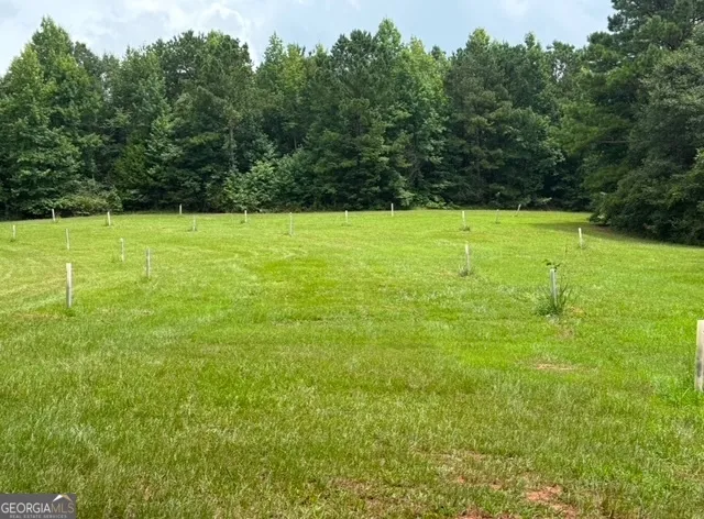 a view of a yard with a tree