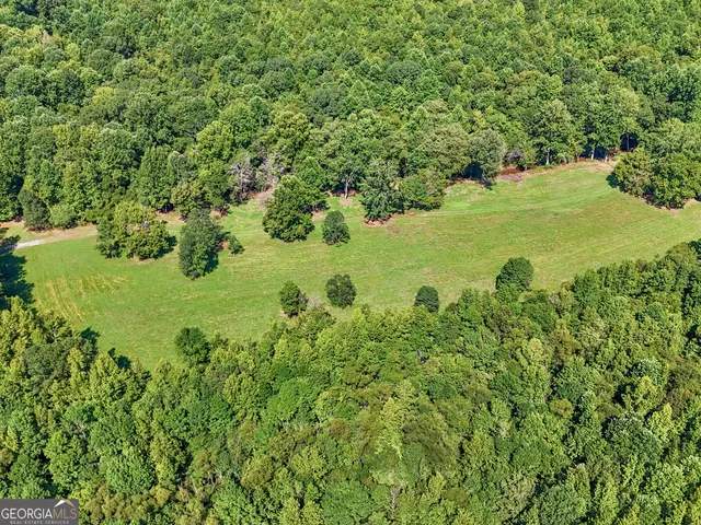 a view of a garden with a tree