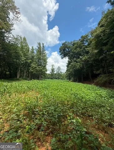 a view of outdoor space and yard