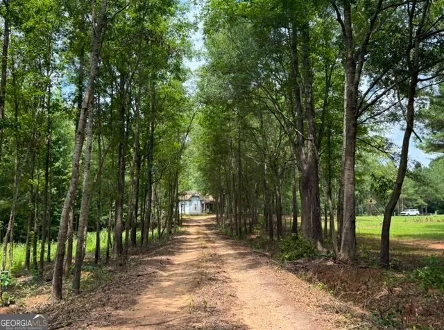 a view of a backyard with trees