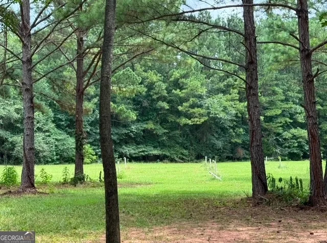 a backyard of a house with lots of green space