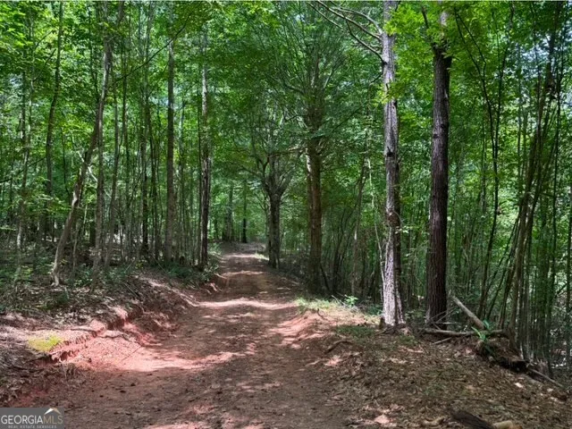a view of outdoor space and green space