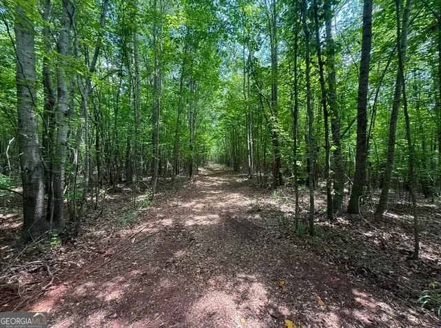 a view of outdoor space with trees