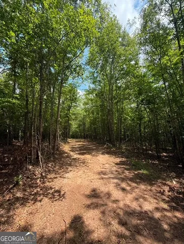 a backyard of a house with trees and wooden fence