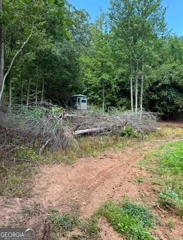 a view of swimming pool with a yard