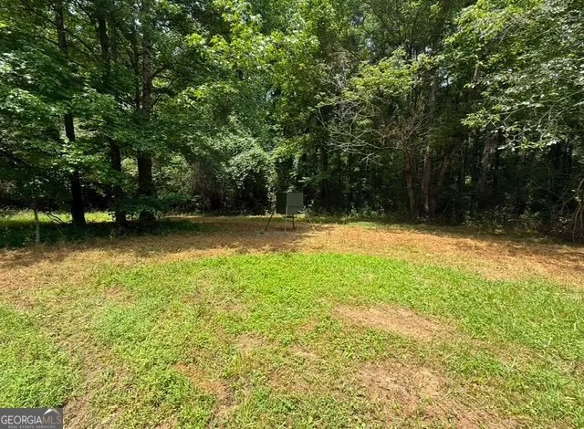 a view of a forest with trees in the background