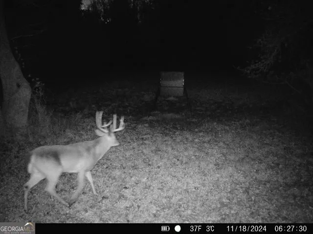 $2,259,000 | 7333 Whitehouse Parkway, Warm Springs, GA 31830