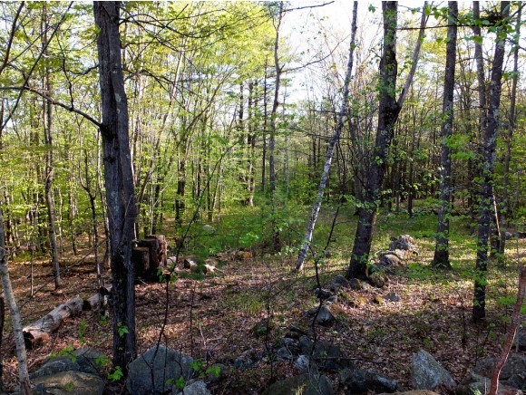 821 Kearsarge Mountain Road Warner, NH 03278 - Photo 20 of 25 Gallery Image 20