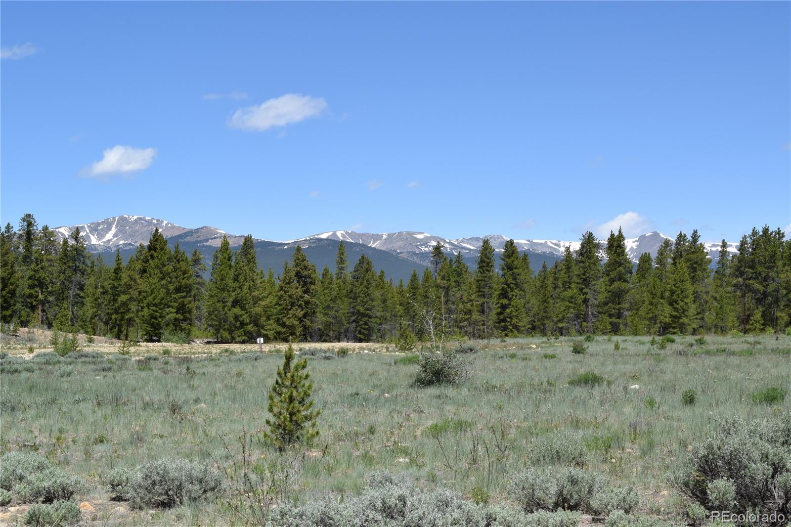 350 Snowshoe Rabbit Drive Leadville, CO 80461 - Photo 2 of 9 a view of a dry yard with trees in the background