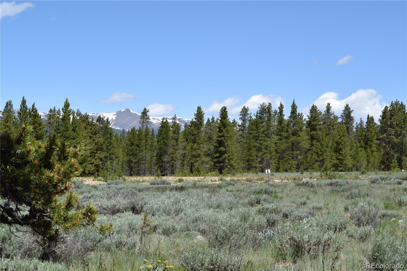 350 Snowshoe Rabbit Drive Leadville, CO 80461 - Photo 5 of 9 a view of outdoor space with green field and trees in the background