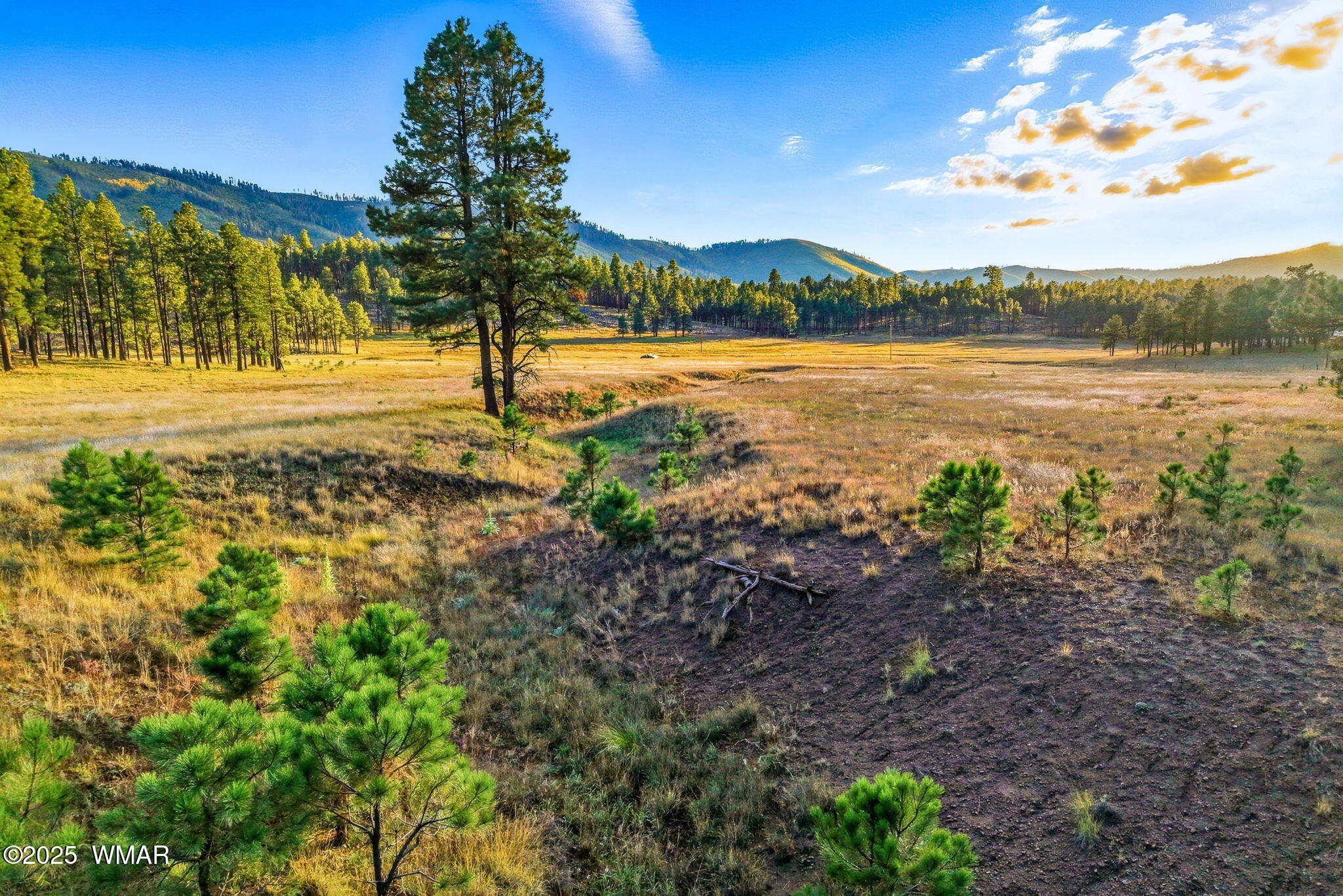 1 A Forest Road 26 Springerville, AZ 85938 - Photo 3 of 16 a view of lake with mountain