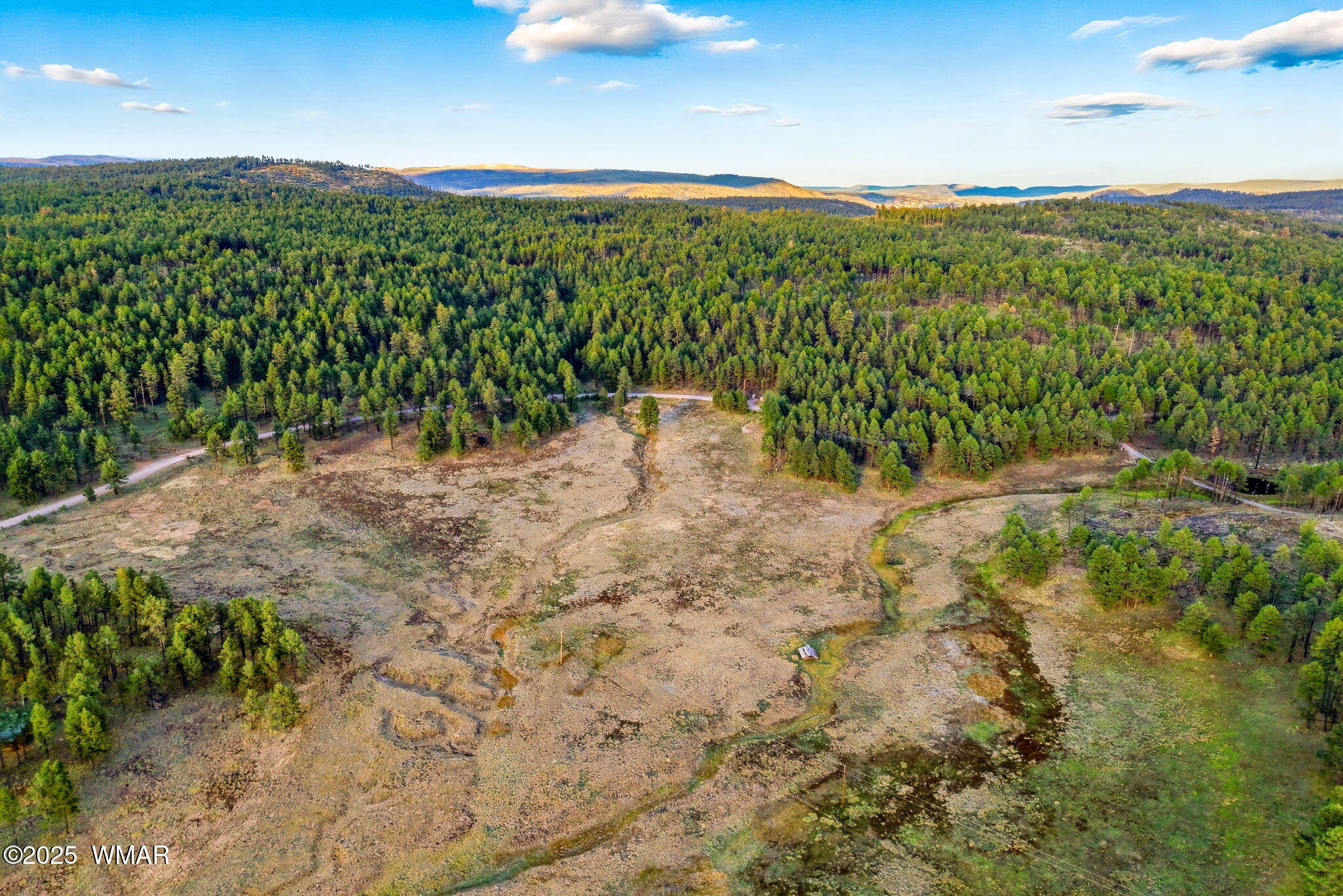 1 A Forest Road 26 Springerville, AZ 85938 - Photo 10 of 16 a view of a yard with a plant