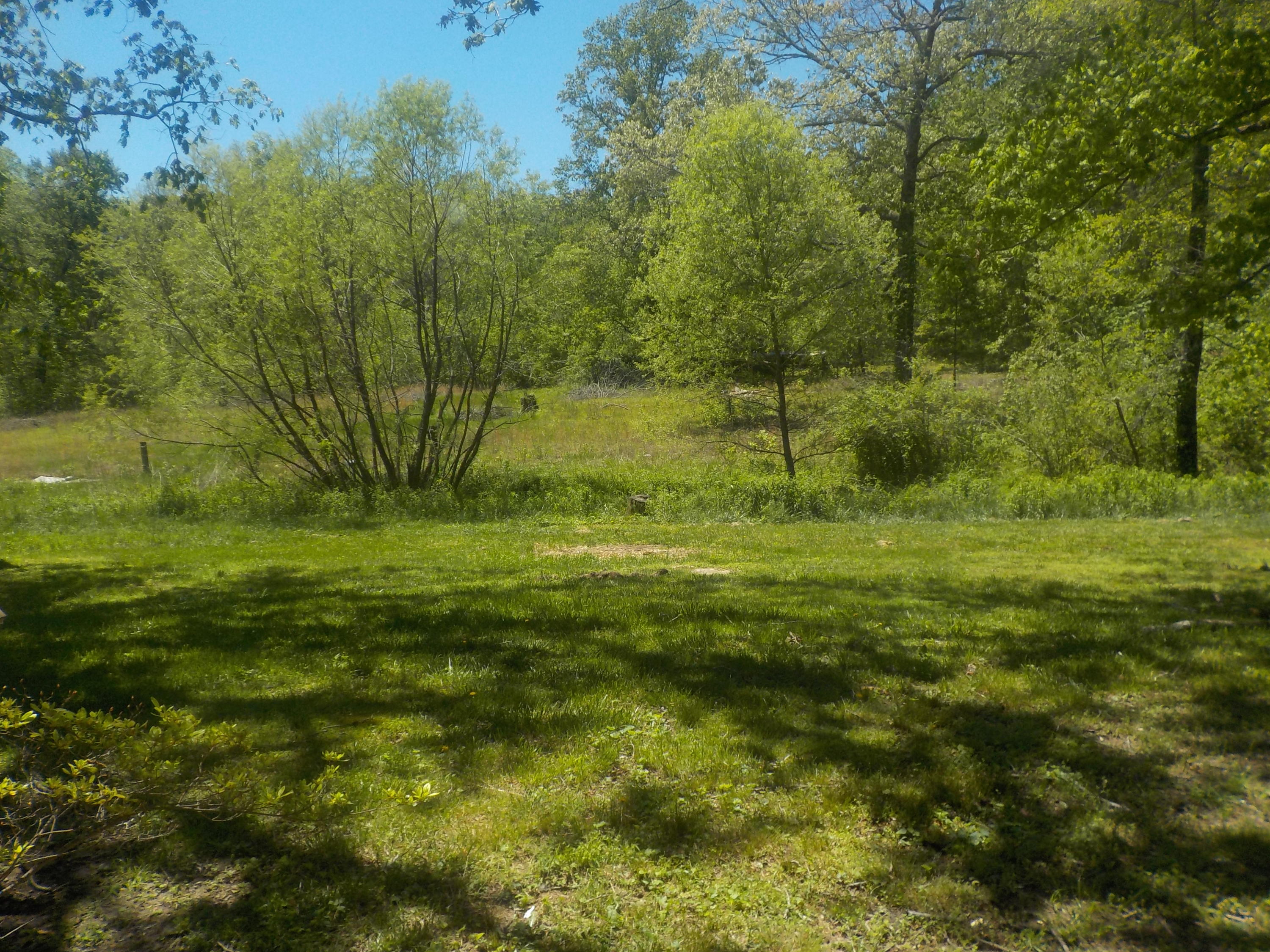 2028 Poe Road Soddy Daisy, TN 37379 - Photo 15 of 19 DSCN3721