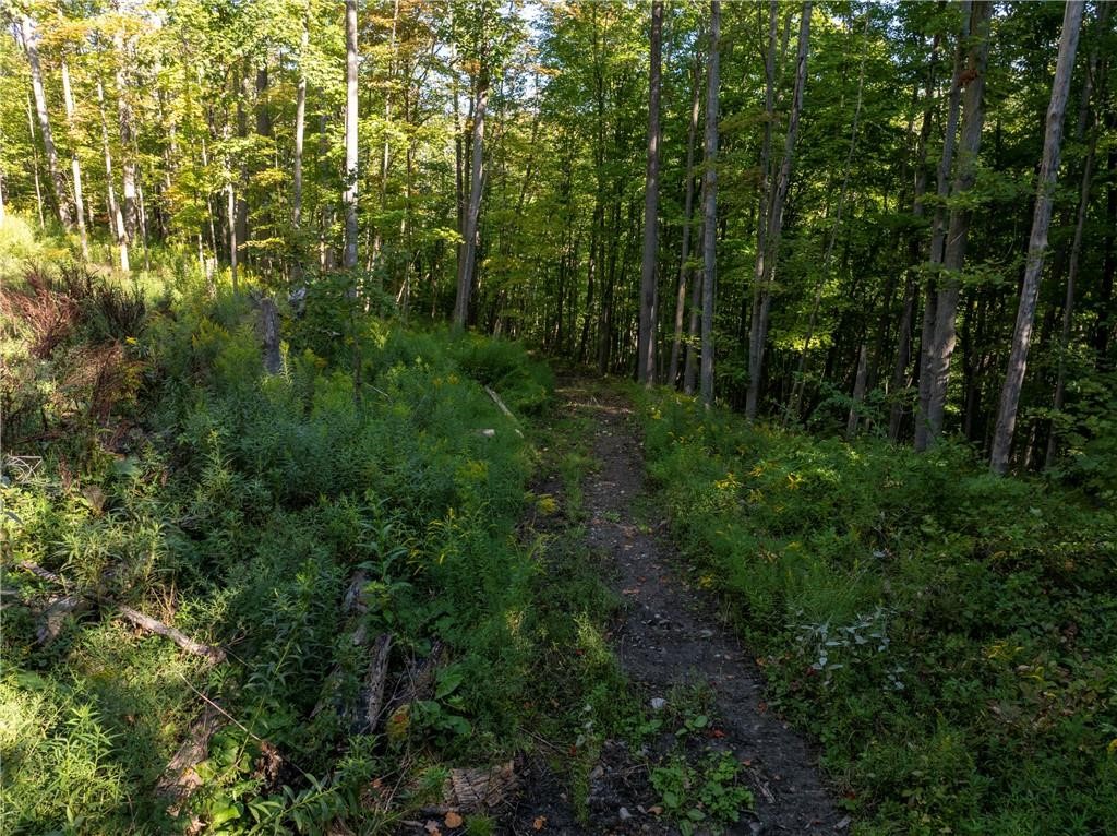 South Gannett Hill Road Naples, NY 14512 - Photo 8 of 8