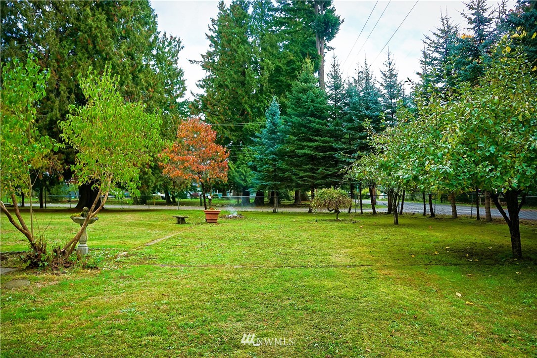1746 Trigg Road Ferndale, WA 98248 - Photo 4 of 28 a view of a backyard with large trees