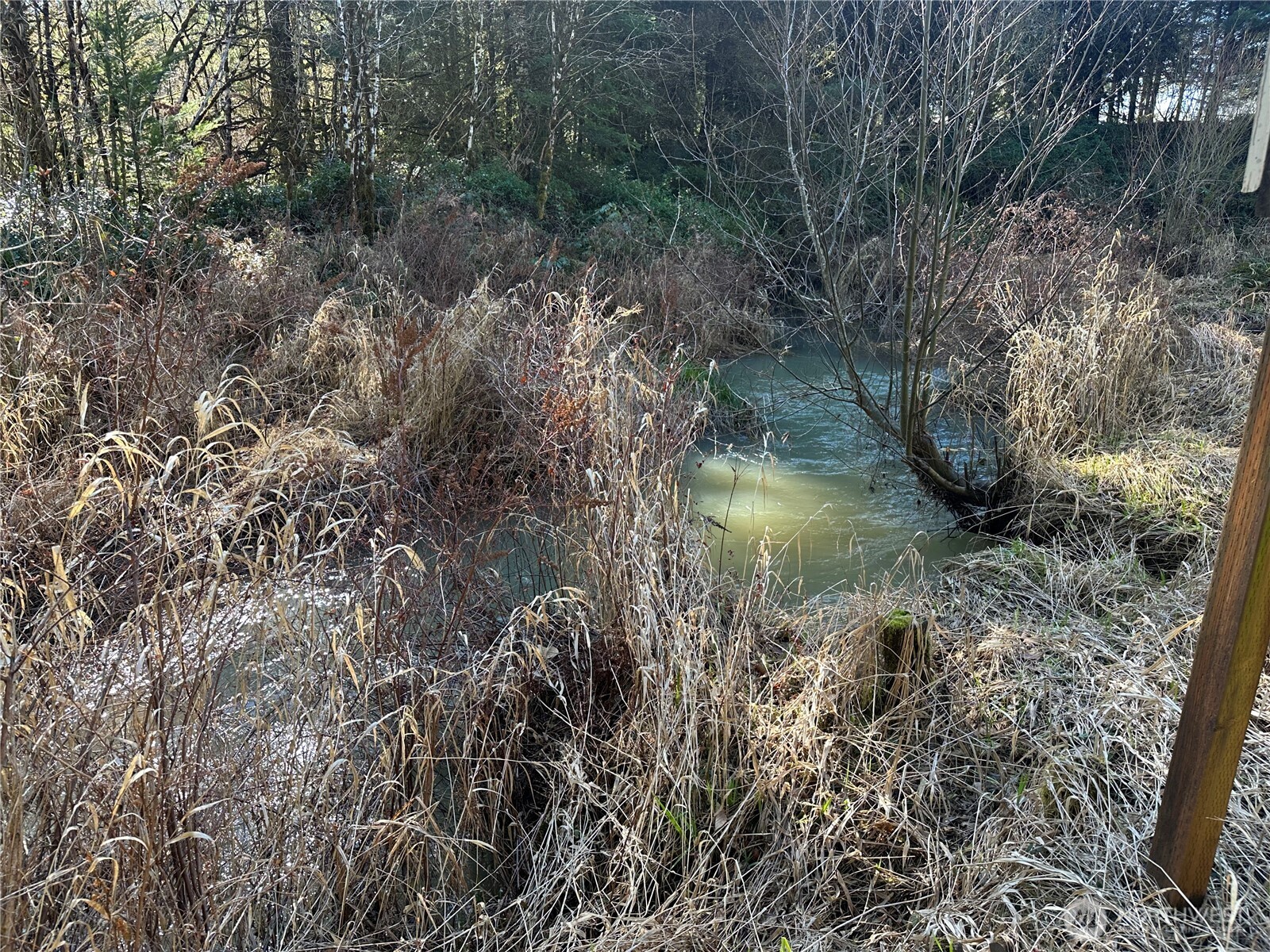123 Marttala Road North Winlock, WA 98596 - Photo 17 of 17 a view of a lake with lots of bushes