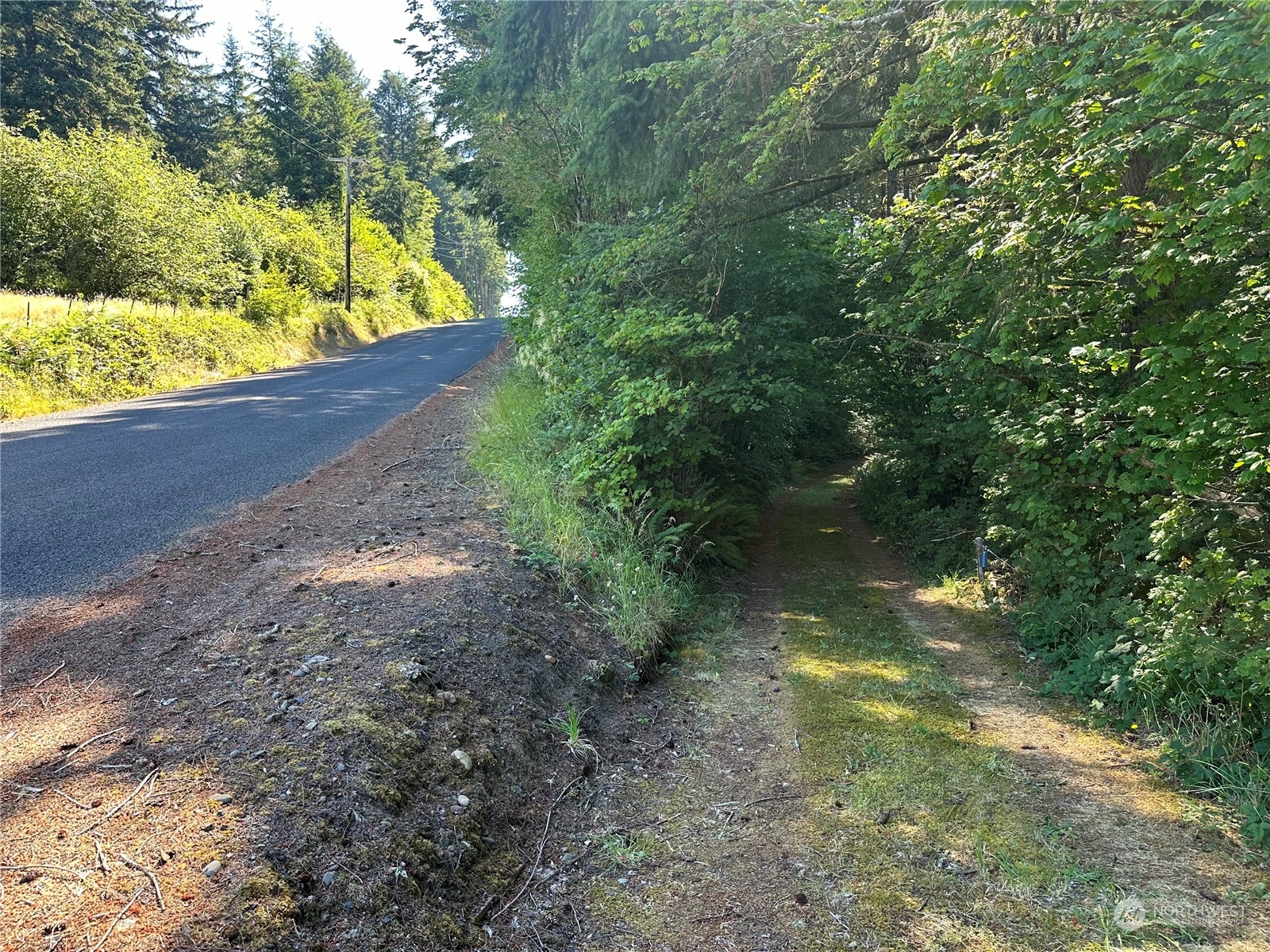 123 Marttala Road North Winlock, WA 98596 - Photo 6 of 17 a view of a small yard with plants