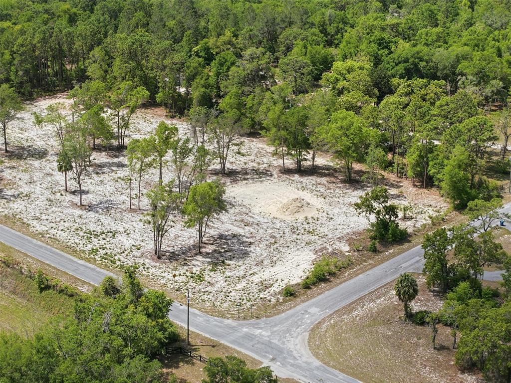 14235 Carolina Dove Road Weeki Wachee, FL 34614 - Photo 4 of 10